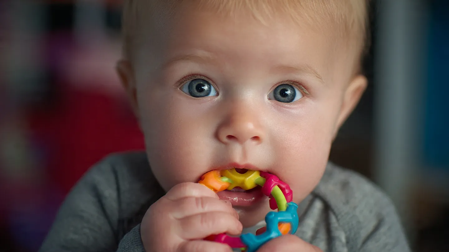 Bébé de 5 mois concentré en train d'attraper un anneau de dentition coloré