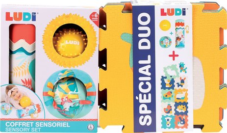Coffret sensoriel 9 dalles Animaux Ludi