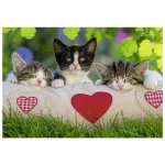 Puzzles 2 x 24 pièces Chatons au repos Ravensburger