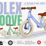 Draisienne Solex Moove Green MGM